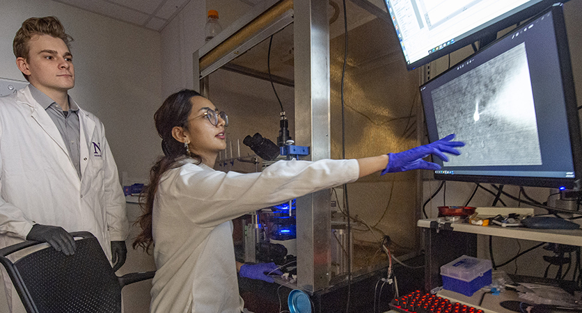 lab members looking at computer screen