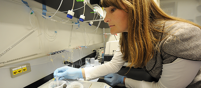 A postdoctoral fellow conducting research